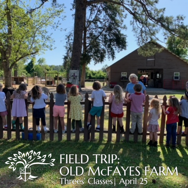 Three’s Classes field trip to Old McFayes Farm